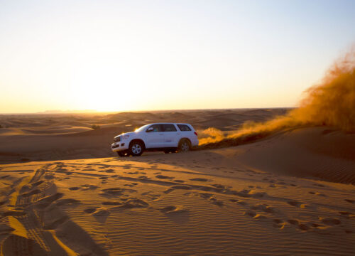 Small Group Guided Red Dune Safari in Quad Bikes with BBQ Dinner