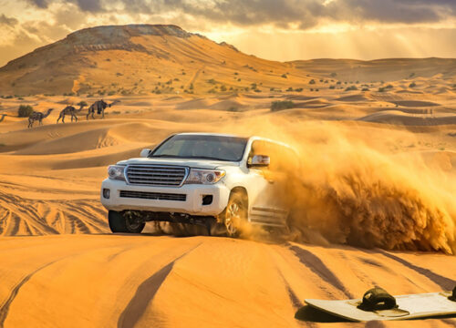 Premium Red Dune Safari with Camel Ride & BBQ Dinner in Bedouin Camp