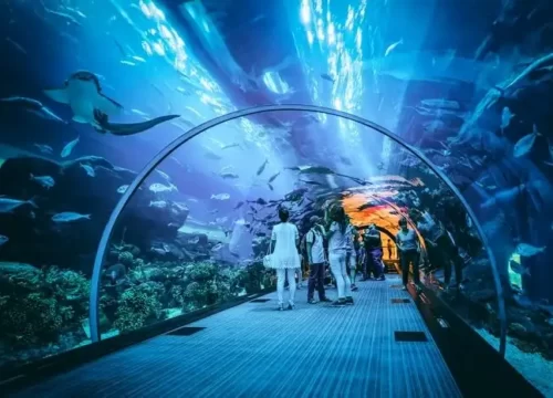 Diving into Wonder: Unveiling the Magic of Dubai Aquarium & Underwater Zoo